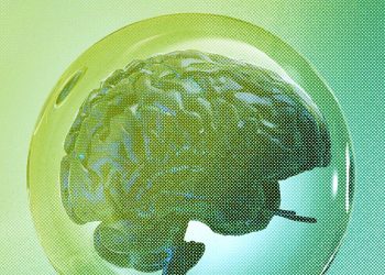 The 4 Things You Need for a Tech Bubble