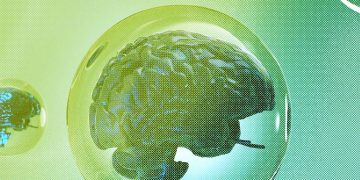 The 4 Things You Need for a Tech Bubble