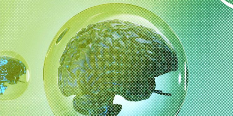 The 4 Things You Need for a Tech Bubble