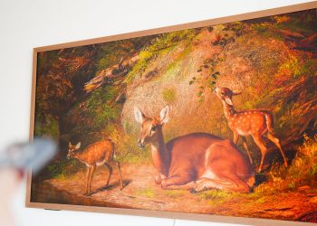 Hisense Canvas vs. Samsung Frame TV: I’ve seen both, and here’s how Hisense wins