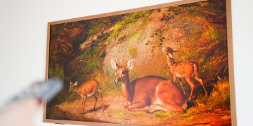 Hisense Canvas vs. Samsung Frame TV: I’ve seen both, and here’s how Hisense wins