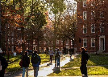 International student enrollment decline could cost $1 billion: Reports