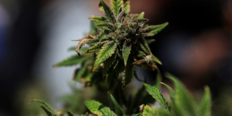 Stocks making the biggest moves premarket: IRBT, LVS, TLRY