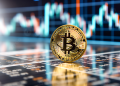 The Current Bitcoin Price Pump Will End In A Crash