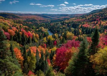 Canada November producer price index +6.1% y/y vs +6.0% prior
