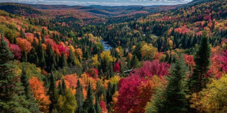 Canada November producer price index +6.1% y/y vs +6.0% prior