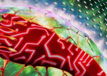 Billion-Dollar Data Centers Are Taking Over the World