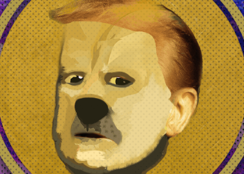 In Cryptoland, Memecoin Fever Gives Way to a Stablecoin Boom