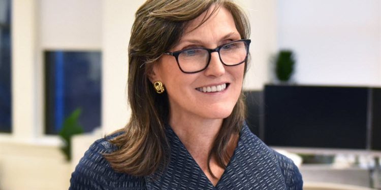 Sometimes brains are a detriment in investing