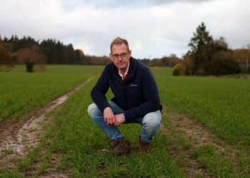 European farmers face ‘real crisis’ as agricultural commodity prices tumble