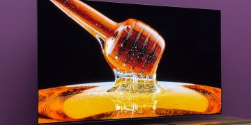 Don’t cancel your Netflix yet – I used these secret codes to unlock the full catalog for free