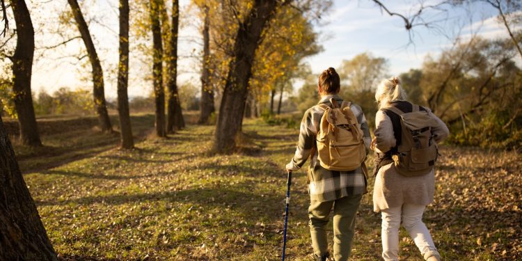 Estate planning helps limit costly mistakes: ‘My Mother’s Money’ author