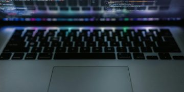 Notorious Bitcoin Hacker Released Years Early, Credits Trump