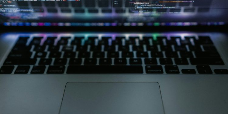 Notorious Bitcoin Hacker Released Years Early, Credits Trump