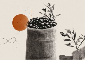 A commodity without a market: the hazelnut shock