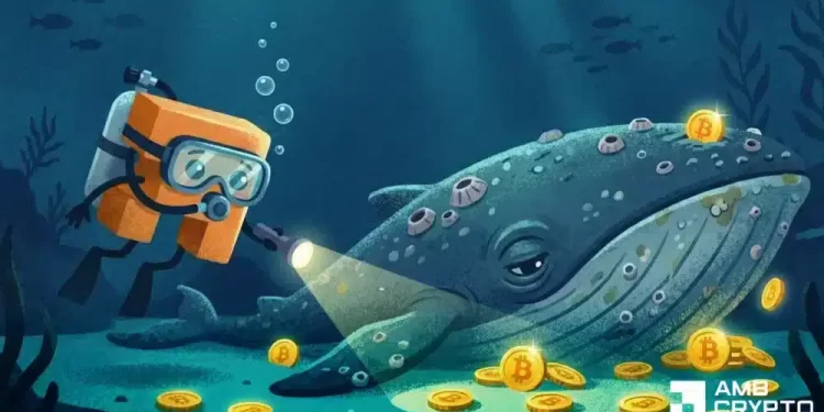 Oldest Satoshi-era Bitcoin wallet buys $2B in BTC – What does it know?