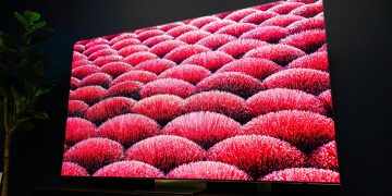 8K is down to one manufacturer after LG’s exit – so where does TV tech go next?