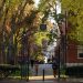 Harvard University is the No. 1 dream college: The Princeton Review