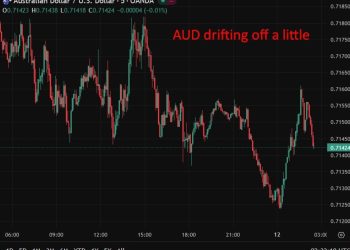 Fitch warns rising local government debt could narrow China’s fiscal headroom