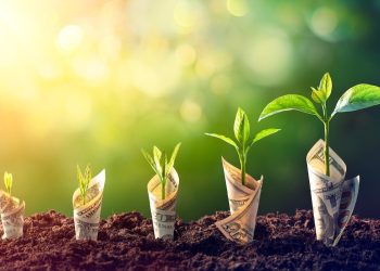 How Does Compound Interest Work? Simple Examples That Show Its Power