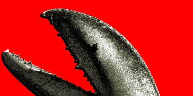 China’s OpenClaw Boom Is a Gold Rush for AI Companies