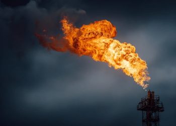 India is working with Iran to secure safe passage for key fuel shipments through Hormuz,