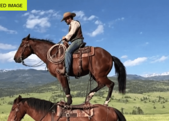 OpenAI just gave up on Sora and its billion-dollar Disney deal