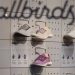 Allbirds announced a switch from shoes to AI and its stock jumped 600 percent