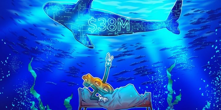 Hyperliquid Whale Shorts Bitcoin, Is A $75K Retest Incoming